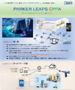 IOT SYSTEM LEAPS CPPA